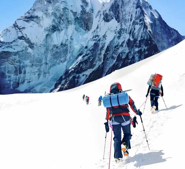 Employees engaging in recycling practices