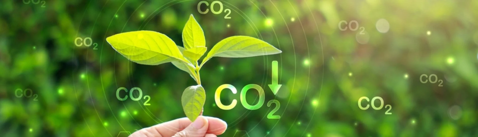 Optimized packaging and transport